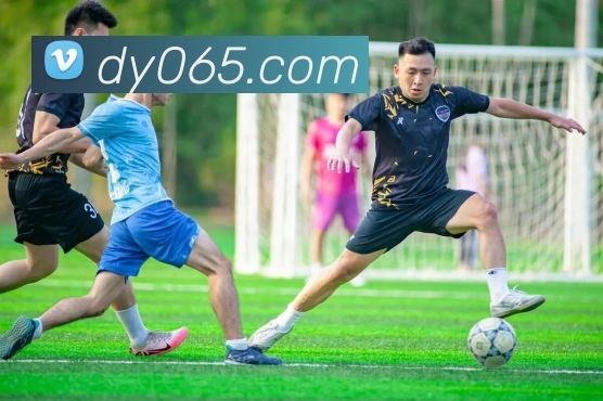 东赢体育官网APP 封面图
